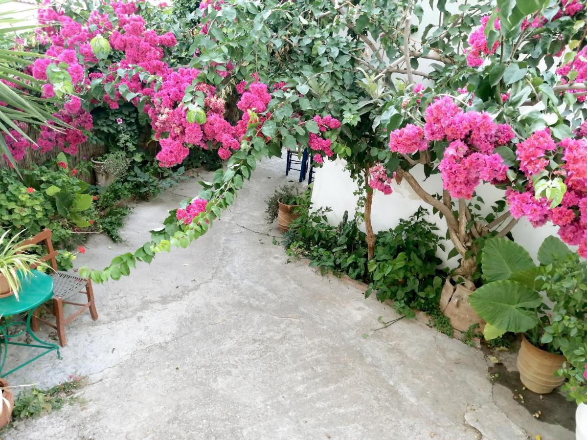 Katerina Rooms & Studios Παλαίκαστρο Εξωτερικό φωτογραφία
