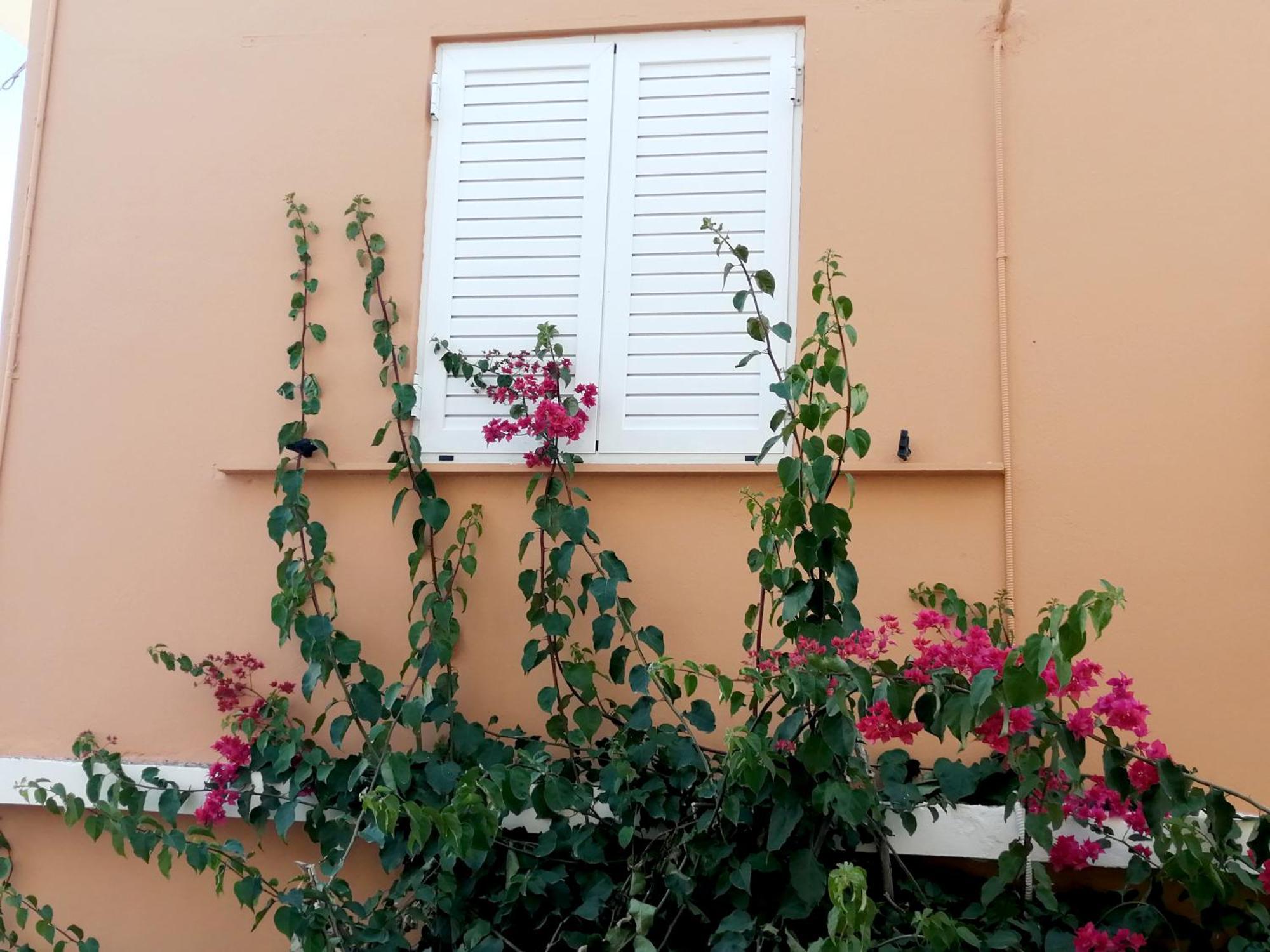 Katerina Rooms & Studios Παλαίκαστρο Εξωτερικό φωτογραφία