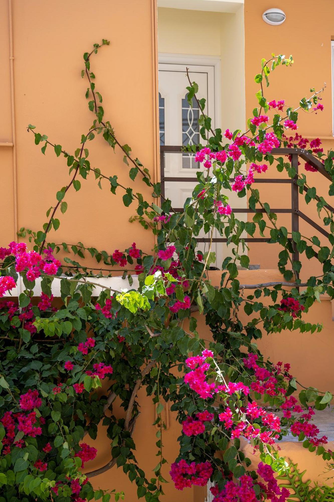 Katerina Rooms & Studios Παλαίκαστρο Εξωτερικό φωτογραφία